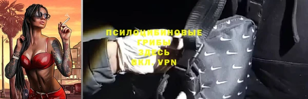 дурь Алексин