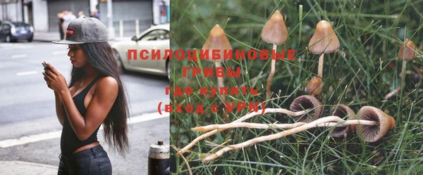 дурь Алексин