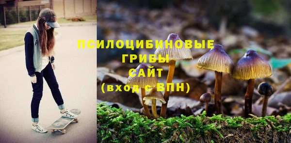 дурь Алексин