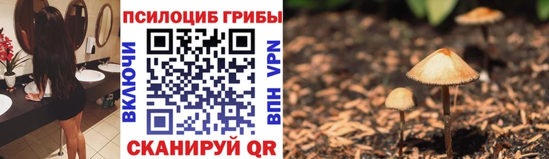 Псилоцибиновые грибы Cubensis  Рыбное 